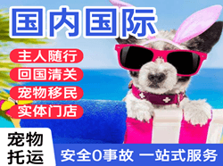 西昌机场邮寄国际宠物托运 【国